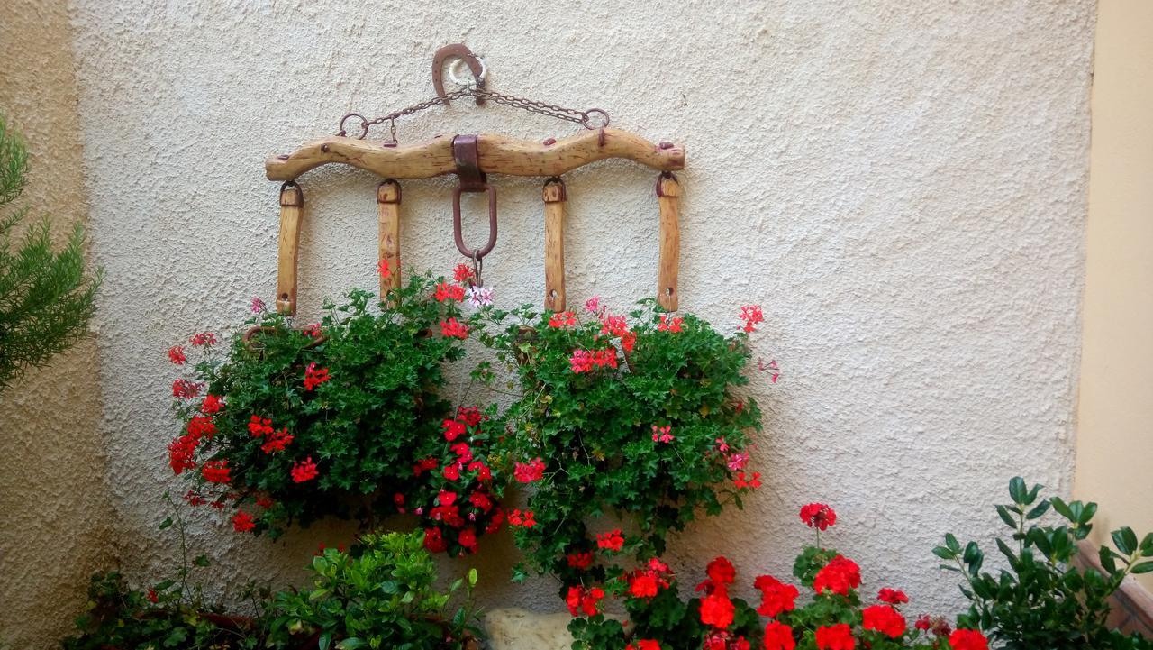 B&B A Casa Di Nonna Massa d'Albe Eksteriør billede